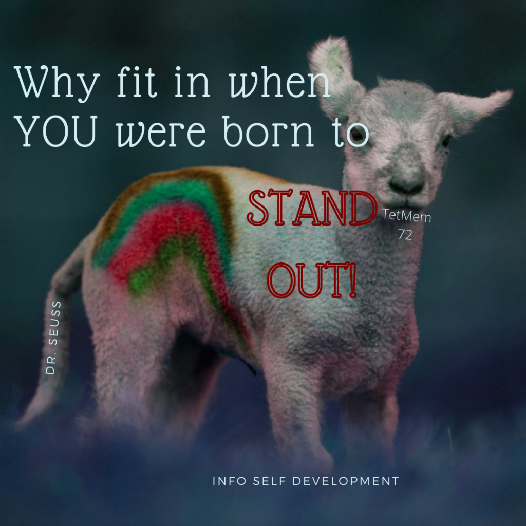 Why fit in when you were born to STAND OUT Dr Seuss
