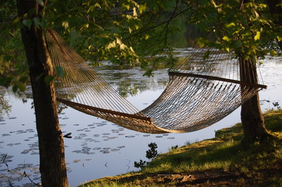 passion-love-you-learned-lesson-hammock
