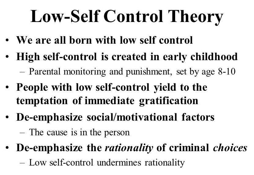 control_theories_low_self_control_theory-courage