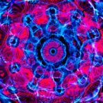 Astrology Monthly Forecast March