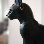 Egyptian goddess bastet, Mars in Gemini, Mercury in Virgo and the Apple Tree Sextile